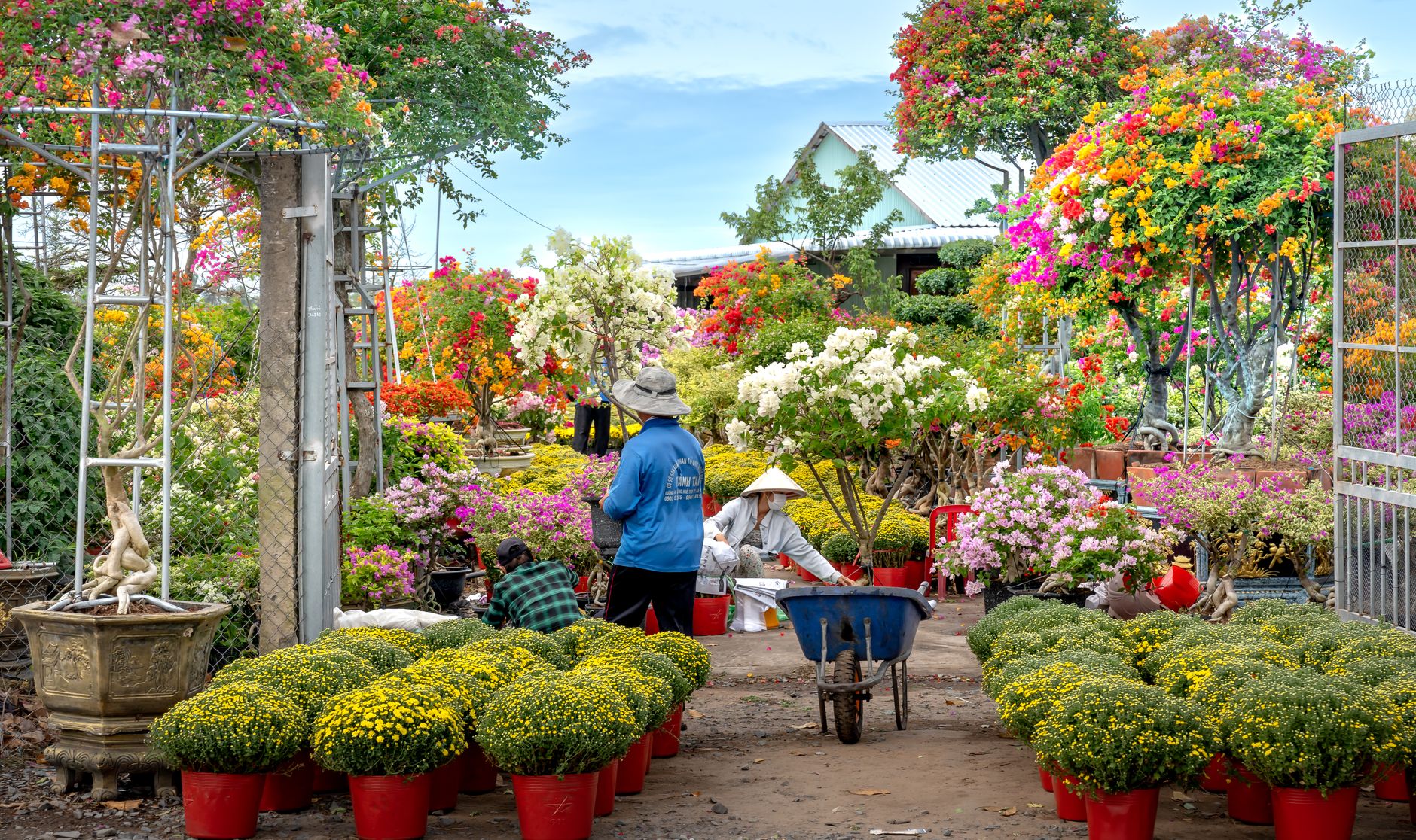 Créer un jardin fleuri en toute saison